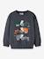Patterned sweatshirt Name It for boys beige+grey blue+olive - vertbaudet enfant 