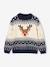 Christmas knitwear for boys navy blue - vertbaudet enfant 