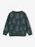 Sweat de Noël garçon vert foncé - vertbaudet enfant 