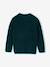 Jacquard jumper with long sleeves for boys dark green - vertbaudet enfant 