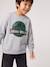 Sweat garçon Jurassic World gris chiné - vertbaudet enfant 