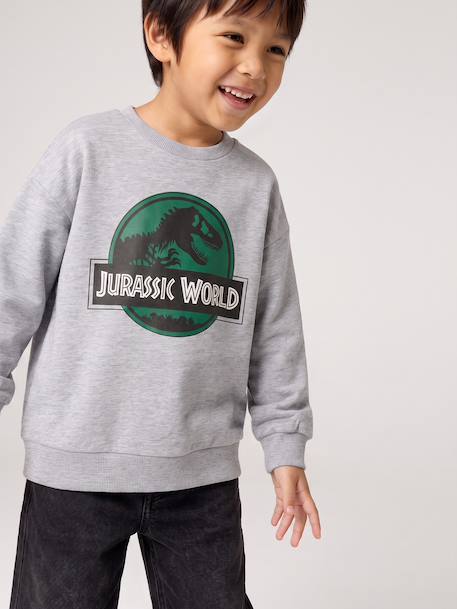 Sweatshirt Jurassic World for boys marl grey - vertbaudet enfant 