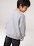 Sweat garçon Jurassic World gris chiné - vertbaudet enfant 