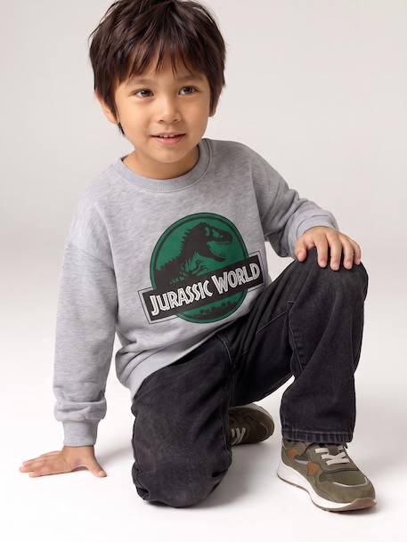 Sweatshirt Jurassic World for boys marl grey - vertbaudet enfant 