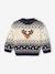 Christmas jumper for baby boys navy blue - vertbaudet enfant 