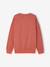 Sweat noël manches longues homme Capsule Famille terracotta - vertbaudet enfant 