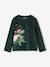 Velour pyjamas for boys fir green - vertbaudet enfant 