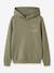 Hooded sweatshirt with inscription Name It for boys black+olive - vertbaudet enfant 