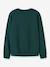 Christmas sweatshirt Name It for boys dark green+deep blue+oat - vertbaudet enfant 