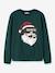 Sweat de Noël garçon name it avoine+bleu foncé+vert foncé - vertbaudet enfant 