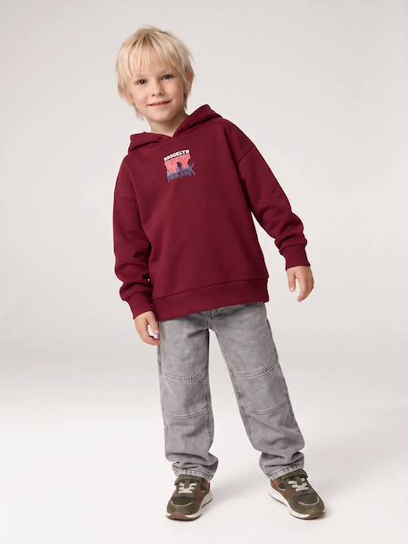 Sweat à capuche garçon marine+rouge chiné - vertbaudet enfant 