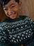 Jacquard jumper for boys green - vertbaudet enfant 
