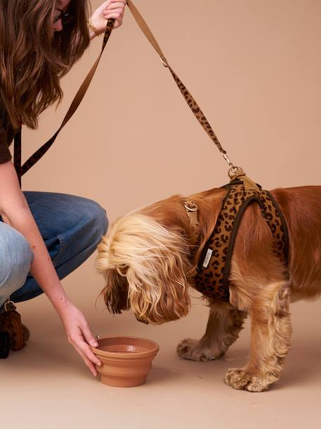 Collapsible silicone bowl, FAMILY camel - vertbaudet enfant 