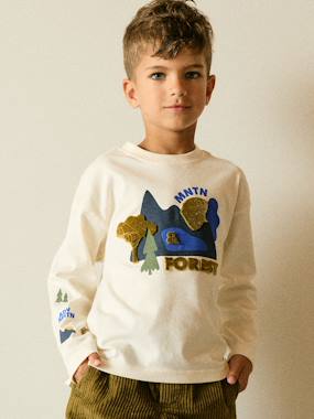 T-shirt manches longues garçon - vertbaudet enfant