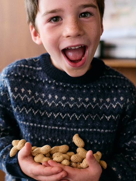 Knit jumper Jacquard for boys navy blue - vertbaudet enfant 