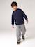 Sweat à capuche garçon marine+rouge chiné - vertbaudet enfant 