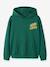 Boys Hooded Slogan Sweatshirt Name It deep blue+green - vertbaudet enfant 