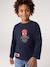 Long-sleeved T-shirt Spider-Man for boys navy blue - vertbaudet enfant 