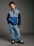 Long-Sleeved Fleece Sweatshirt for Boys blue+green - vertbaudet enfant 