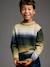 Round-neck jumper for boys ecru - vertbaudet enfant 