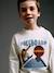 Long-sleeved T-shirt for boys sage green+white - vertbaudet enfant 