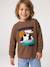 Long-sleeved T-shirt for boys hazel+navy blue - vertbaudet enfant 