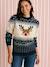 Pull de Noël Adulte Mixte Capsule Famille marine - vertbaudet enfant 