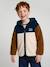 Zip-up hooded cardigan for boys fir green+medium blue - vertbaudet enfant 