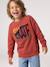 Crewneck sweatshirt for boys navy blue+tomato red - vertbaudet enfant 