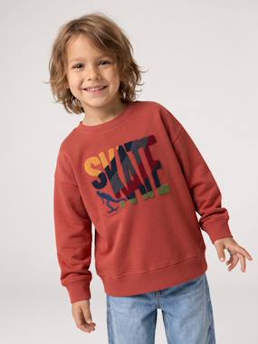 Sweat col rond garçon - vertbaudet enfant