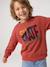 Crewneck sweatshirt for boys navy blue+tomato red - vertbaudet enfant 