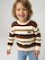Jumper for boys hazel+navy blue - vertbaudet enfant 