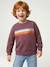 Crew neck sweatshirt for boys marl white+mauve - vertbaudet enfant 