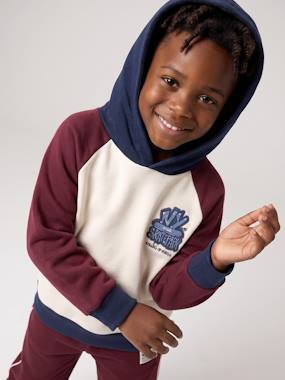 Hooded sweatshirt for boys - vertbaudet enfant