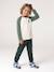 Pantalon de jogging garçon bleu jean+bordeaux+vert sapin - vertbaudet enfant 