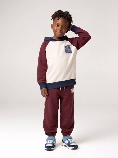 Hooded sweatshirt for boys bordeaux red - vertbaudet enfant 