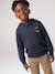 Hooded jumper for boys marl blue - vertbaudet enfant 