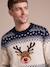 Draw from the Christmas Capsule for Adults and Families navy blue - vertbaudet enfant 
