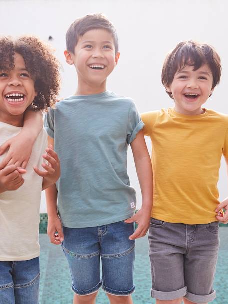 T-shirt garçon personnalisable manches courtes aubergine+blanc+BLEU+jaune pâle+mangue+sauge - vertbaudet enfant 