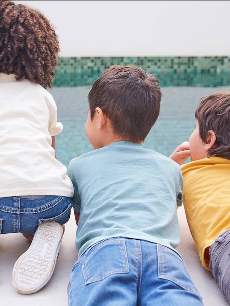 T-shirt garçon personnalisable manches courtes aubergine+blanc+BLEU+jaune pâle+mangue+sauge - vertbaudet enfant 