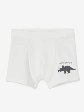 Garçon-Lot de 7 boxers stretch garçon dinosaures