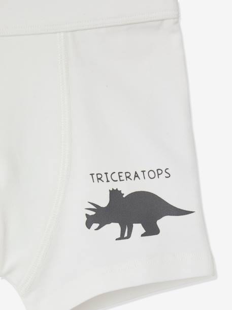 Buy Dinosaur Briefs 10 Pack 8-9 years, Underwear and socks