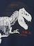 T-Rex Dino Skeleton Top for Boys Blue - vertbaudet enfant 