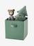 Pack of 3 Storage Boxes, Green Forest Brown - vertbaudet enfant 