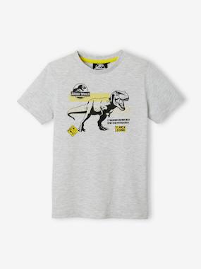 T-shirt garçon Jurassic World®  - vertbaudet enfant
