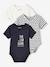 Pack of 3 Short-Sleeved 'Sunshine' Bodysuits for Newborn Babies BLUE DARK TWO COLOR/MULTICOL - vertbaudet enfant 