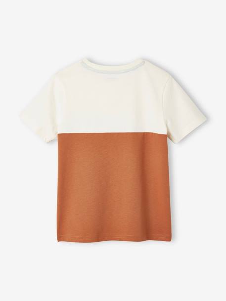 T-shirt garçon coloblock manches courtes ardoise+menthe+orange+vert anglais - vertbaudet enfant 