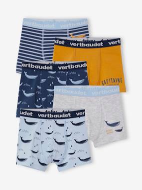 Boys-Underwear-Underpants & Boxers-Pack of 5 Stretch Whale Boxer Shorts for Boys