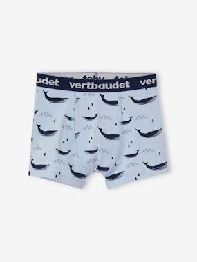 Garçon-Lot de 5 boxers stretch garçon baleines
