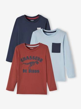 Garçon-T-shirt, polo, sous-pull-Lot de 3 T-shirts Basics garçon manches longues